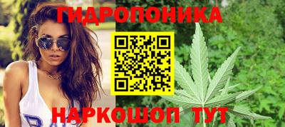 твердый Владикавказ
