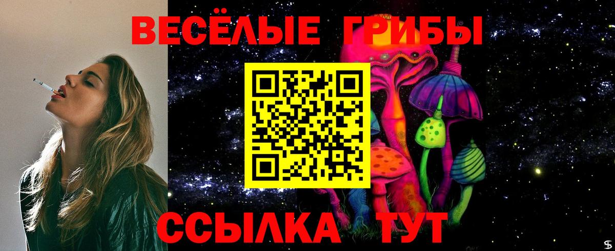 Галлюциногенные грибы Magic Shrooms  Вход с VPN  Галлюциногенные грибы Magic Shrooms  Анжеро-Судженск 